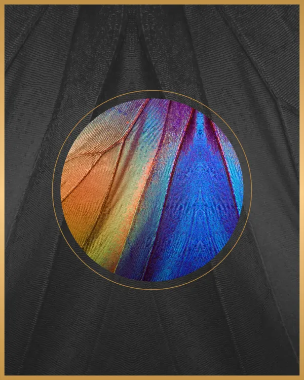 solid_mobile_1
